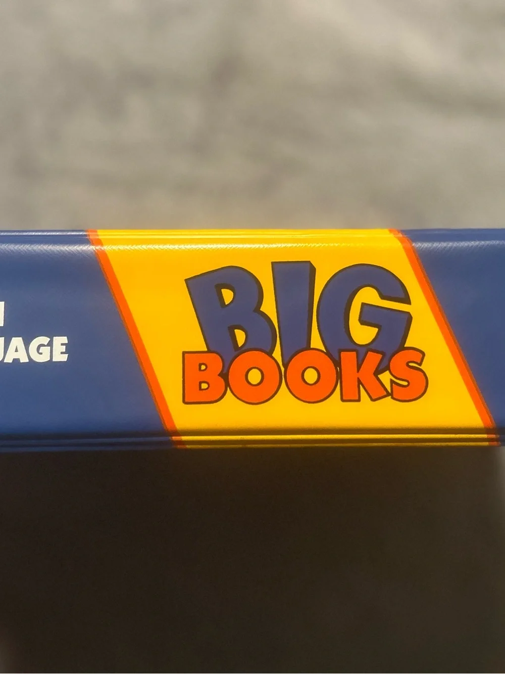 Vintage Macmillan Whole-Language Big Books Program Teaching Guides -BINDER ONLY